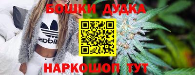 хмурый Гатчина