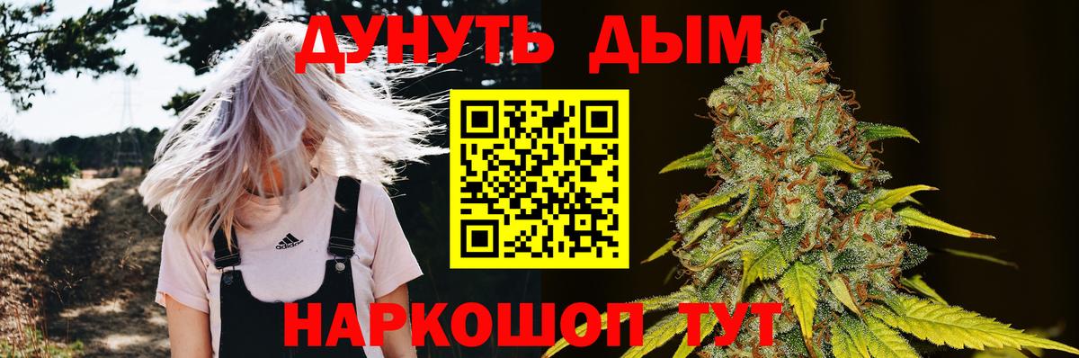 Конопля планчик  Конопля сатива  Моздок  Вход с VPN 