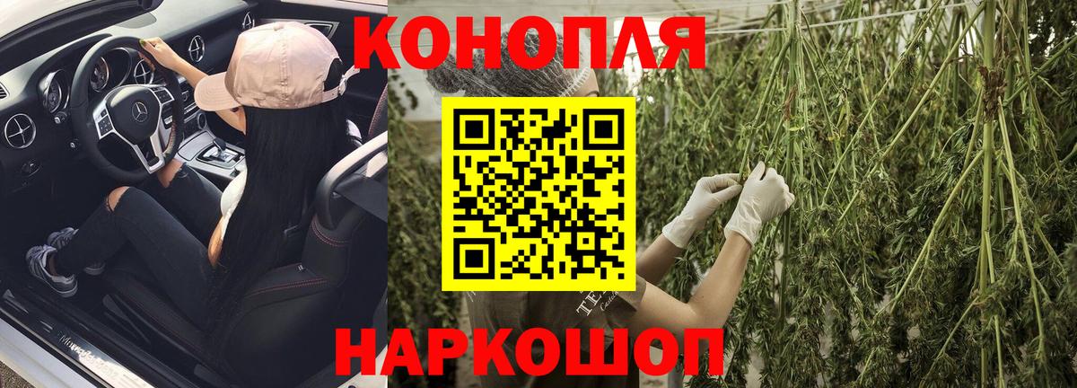 Конопля гибрид Моздок